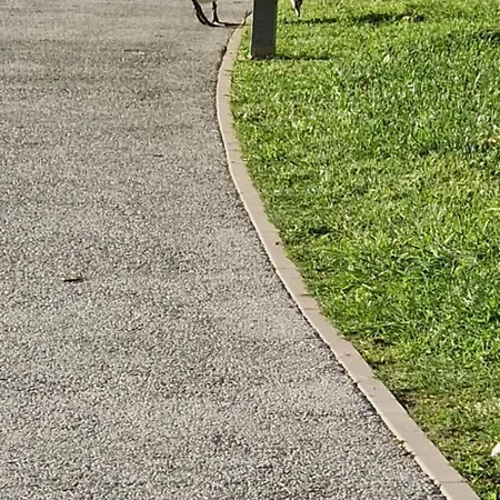 Apartament Dany Di *