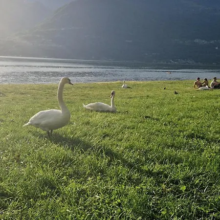 Apartment Dany Di Colico